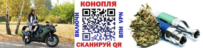 Где купить наркоту Камышин Гашиш  СК  Меф  Бошки Шишки 