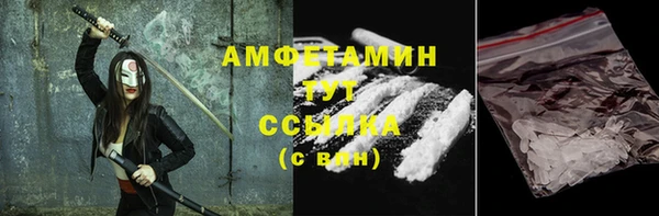 индика Кинешма
