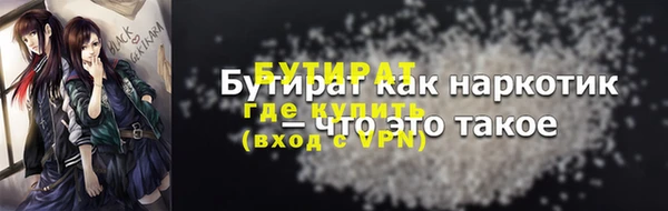 индика Кинешма