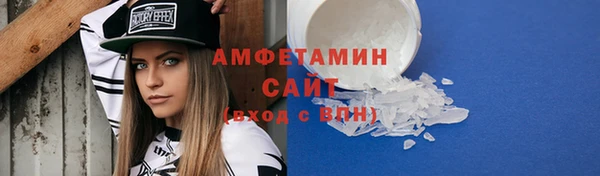 индика Кинешма