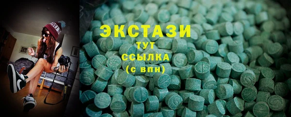 индика Кинешма