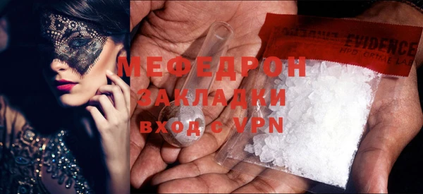 индика Кинешма