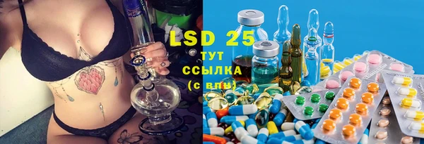 индика Кинешма